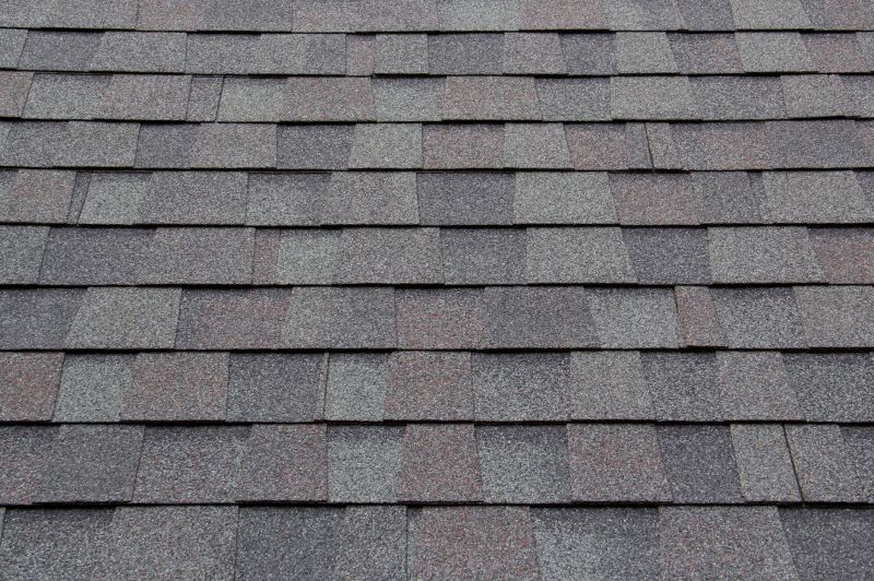 Comparing options for Asphalt Shingles Installation
