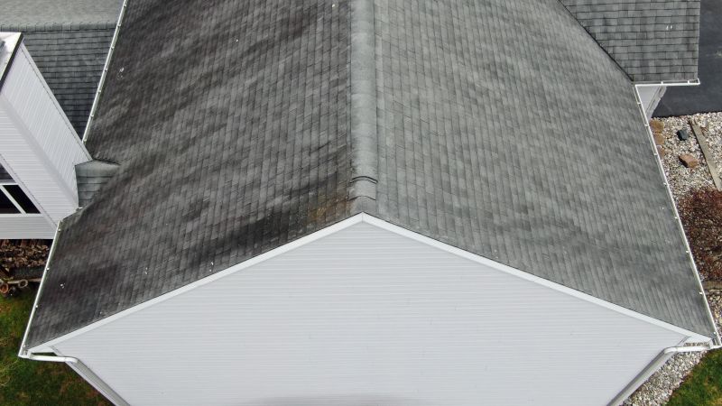 Asphalt Roof Inspection detail